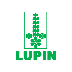 lupin