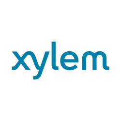 xylem